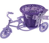 Small Tricycle Bicycle Flower Basket Vase Storage Home Office Table Desk Decor