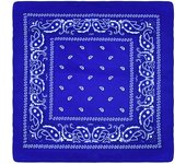 Outdoor Cycling 53cm Cotton Square Scarf Women Men Paisley Print HipHop Bandanas Scarves Headband Handkerchief Hair Mask