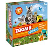 Diset Zoom It Juego Educativo para niños a Partir de 5 años, Multicolor, 63799