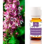 Camassia Aceite esencial salvia sclarea (Salvia romana) | Aceites esenciales | Salvia Sclarea - 100% natural y puro