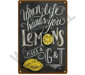 Metal Sign Vintage Tin Signs Retro Decorations Gin & Tonic Cocktail Plate Decorative Poster Plaque Bar Kitchen Home Wall Decor