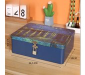 Iron Box with Lock and Key Desktop Storage Box Retro Tinplate Cosmetics ID Storage Household Jewelry Storage Empty Box