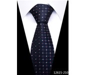 Many Color Newest style  Dropshipping Necktie Man Dark Blue Wedding Accessories Dot Performance Tie Men Necktie Cravat