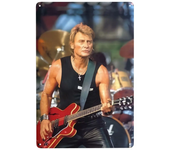 Retro French Rock Singer Johnny Hallyday Metal Sign Personalized Tin Plaque Pub Wall Bar Decor Decorations Art