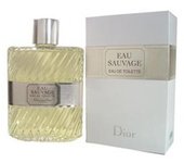 DIOR EAU SAUVAGE EAU DE TOILETTE 100ML VAPORIZADOR