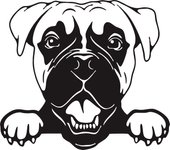 Cars Accessorie Decals Funny Dog With Name Car Decal Dogs Pet Animals Laptop Vinyl Sticker For Apple