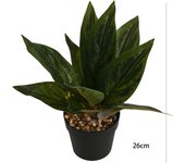 Poenia Arte Floral - Planta Artificial Realista Con Maceta 26CM - REF M630811 - Decoración Hogar