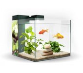 Acuario Zeneo 30 Obsesion