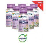 Solaray EcoPack 6 Boswellia 60 Cap 450 mg
