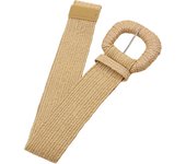 100cm New Retro Women Summer Pin Buckle Belts Fashion Female Braided Wide Belts Designer Woven Elastic PP Straw Girls Waistband