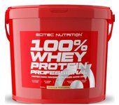 100% WHEY PROTEIN PROF. 5000G VAINILLA