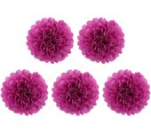 5 Pcs 6 inch Tissue Paper Pom Poms, Paper Flower Balls Hanging Fluffy Tissue Paper Flowers Decorations Paper Pompom Flowers for