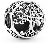Pandora - Charm en plata de ley Raíces Familiares 797590