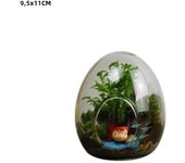 High Quality Glass Bottles Creative Succulent Glass Vase Egg-shaped Terrarium Micro Landscape Glass Hydroponic Terrarium