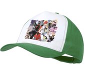 MERCHANDMANIA GORRA COLOR Sentai Daishikkaku serie anime heroes rangers color cap