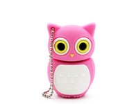 Cute Cartoon USB Flash Drive 64GB Animal Penguin Pen Drive 32GB Cat Owl Memory Stick Lion Pendrive Dinosaur External Storage 16G