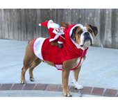 SOMY Abrigo navideño para Perros, con Papá Noel en su Gato, suéter Rojo navideño para Perros, Disfraz de Perro L