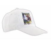 MERCHANDMANIA GORRA COLOR Unnamed Memory isekai magia heroe serie anime color cap