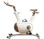 Clover Fitness - Ciclo indoor Sophy W1 Bicicleta estática para entrenamiento en casa