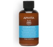 CHAMPÚ hidratante con ácido hialurónico y aloe 75 ml