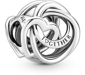 Charm Pandora 791507C00 Corazón círculo familiar