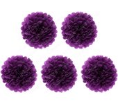 5 Pcs 6 inch Tissue Paper Pom Poms, Paper Flower Balls Hanging Fluffy Tissue Paper Flowers Decorations Paper Pompom Flowers for