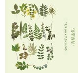 40pcs plant collection Green Leaf Decorative PET Stickers Scrapbooking Label Diary Stationery Album Phone Cup Journal Planner