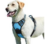 Arnes Perro Grande Mediano antiescape, Arnes Antitirones Perro, Chaleco Acolchado Ajustable, Correa al Cuello y Pecho y Transpi
