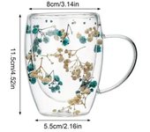 Rellenos Flores secas Taza de vidrio de doble pared Con Mango Té resistente al calor Tazas de café Taza de leche espresso Regalo creativo 350ml
