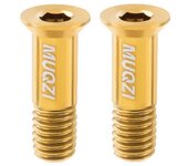 2PCS Titanium Alloy Rear Derailleur Jockey Wheel Screws M5 Screws Fixed Bolts Rear Derailleur Pulley Fixing Bolts