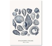 Beach Hut Bridge Reef Starfish Conch Coral Ocean Wall Art Canvas Painting Posters And Prints Wall Pictures For Living Room Decor