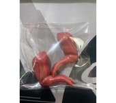 "Disfraz Divertido para Mascotas - Brazos de Pollo Decorativos, Accesorio Gracioso para Perros/Gatos, Disfraz de Dinosaurio Estilo Pollo, Juguete Viral para Fotos, Regalo Original Carnaval/Halloween – Envío Rápido Miravia"