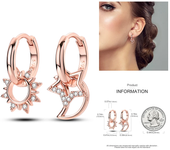 925 Silver Exquisite Sun and Moon Women's Earrings Women Jewelry Luxury Gift Original Design Earring New in