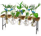 Terrario de plantas de aire de escritorio, florero de vidrio con soporte de madera, plantador de vidrio, estaciones de propagación