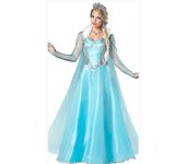 Adult Princess Anna Elsa Costume Christmas Cos Fancy Dress Outfit