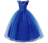 Cinderella Dark Blue Girls Dress Cinderella Princess Dress Halloween Costume