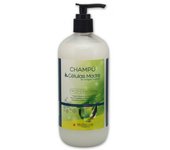 Brische Cosmetics Champú Brische Células Madre 500ml Aspecto Saludable y Protección Radicales Libres