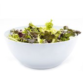 CABLEPELADO - Cuenco de plastico para comida - bol - recipiente - plato - ensaladera - vasija - Libre BPA - lavavajillas - microondas - 3.5 Litros - color blanco