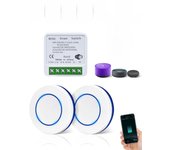 Tuya Smart Switch 16A RF433Mhz+WIFI Module Relay Receiver Mini  Round Wireless Panel Switch Mini Light Switch For Led Lamp