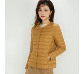 New Winter Women's Down Jackets Plus Coats Chinese and Korean Fashion Light Duck Down Women Warm Female Windbreaker Parka