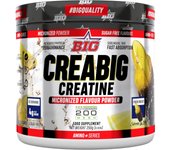 BIG CREATINA 200 MESH (250 GR) SABOR FRESH ROCKET