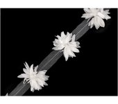 Tira de Flores Sobre Tul para Decoración Floral - Ancho 60mm