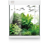 Kit NANO AQUA LED Crystal 20 20 LITROS 32X26X26