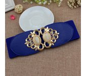 Fashion Women Retro Elastic Stretchy Dress Narrow Waist Belts Dress Accessories