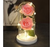 Two Roses Beauty And The Beast Red Rose In A Glass Dome On A Wooden Base Rose Lamp For Valentine's Day Christmas Gift Home Decor