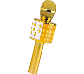 Micrófono inalámbrico profesional con Bluetooth, micrófono de mano, reproductor de Música KTV, grabadora de Canto