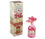 Prady Mikado Ambientador MAGIC FLOWER 100ml – | Aroma Duradero para el Hogar - VARIOS OLORES: BELLE EPOQUE, VICTORIUS, FRUTOS ROJOS, FRAMBUESA, COTTON CANDY, LAVANDA Y ROSAS.