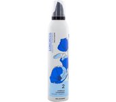 Elgon Luminoil Instant Synergy 300 ml