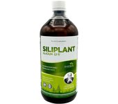 Silicium G7 Siliplant Biodisponible 1L Silicium España