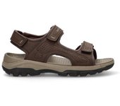 Sandalia SKECHERS 204105 marron